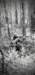 photo_small.jpg