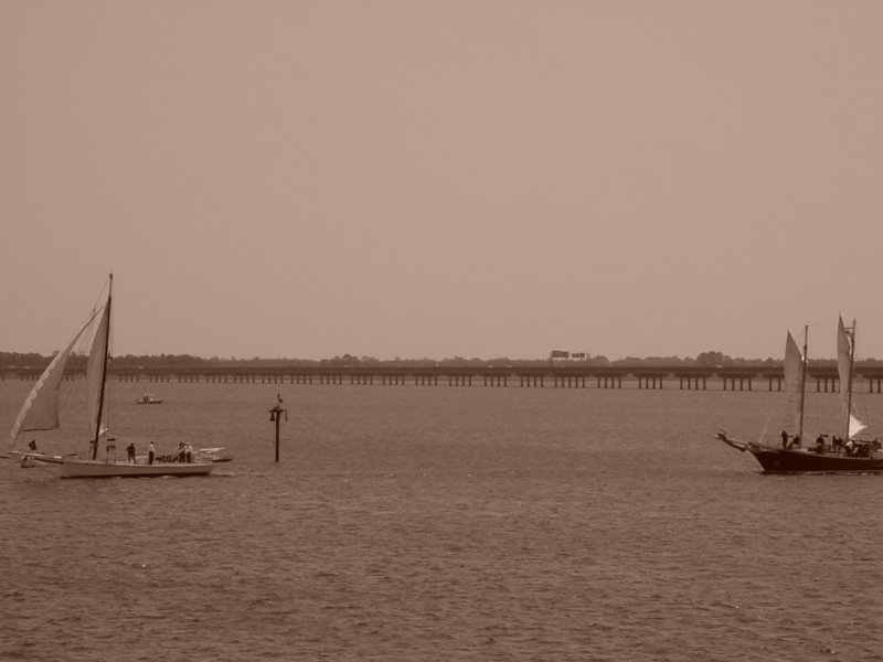 dsc00021.jpg