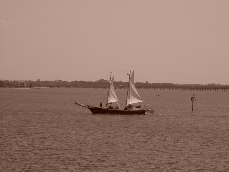 dsc00022.jpg