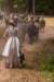 _d_l0581_small.jpg