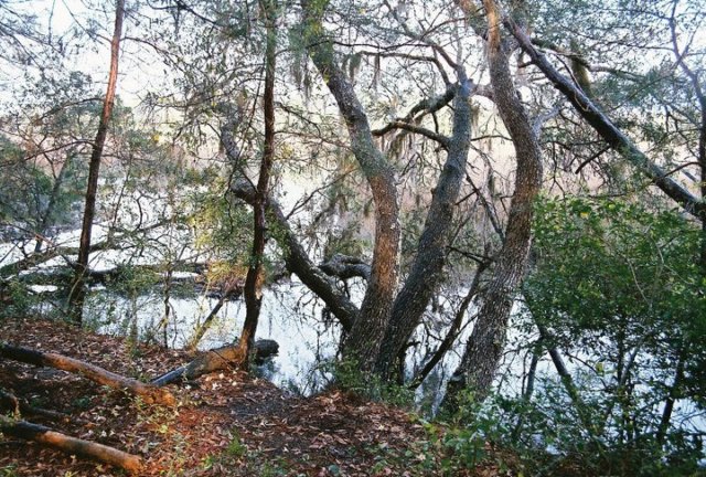 photo15.jpg