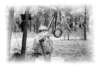 photo5_small.jpg