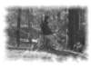 photo2_small.jpg