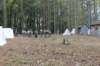 img_6780copy_small.jpg