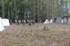img_6782copy_small.jpg