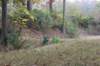 img_6832copy_small.jpg