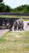 fb_img_1500315475781_small.jpg