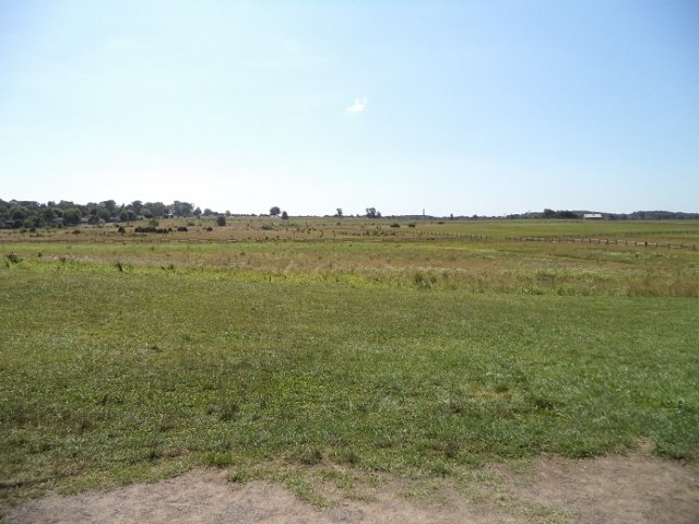 dsc00084.jpg
