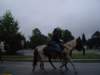 imgp7092_small.jpg