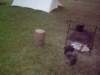 imgp7223_small.jpg
