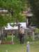 dscf0865_small.jpg
