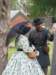 dscf0875_small.jpg