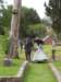 dscf0889_small.jpg