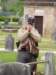 dscf0907_small.jpg