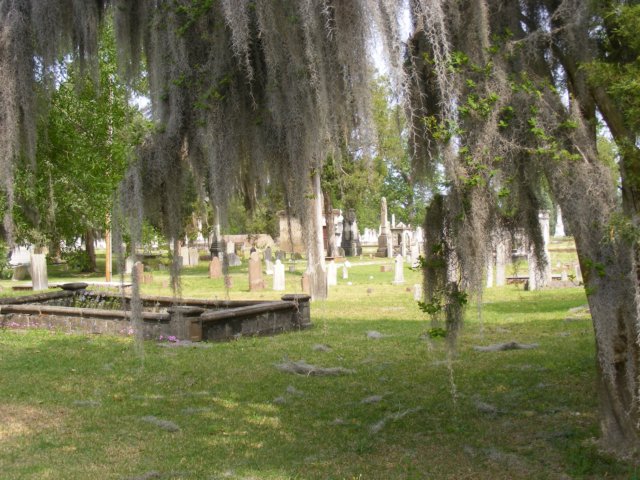 dscf0919.jpg