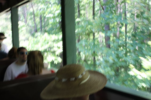img_4506.jpg