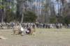 img_26502copy_small.jpg