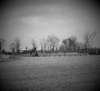 img_2761copy_small.jpg