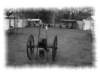 photo12_small.jpg
