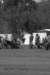 _10206705814743208_1644610901063510577_n_small.jpg