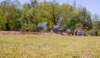 _d_l9325_small.jpg