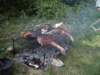 imgp6934_small.jpg