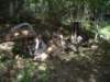 imgp6937_small.jpg