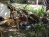 imgp6938_small.jpg