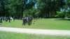 img_20130525_130659_092_small.jpg